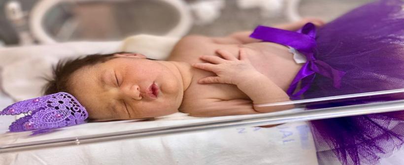 Projeto de mêsversário na UTI neonatal leva alegria e esperança para os pais de prematuros no Hospital Estadual Azevedo Lima (HEAL)