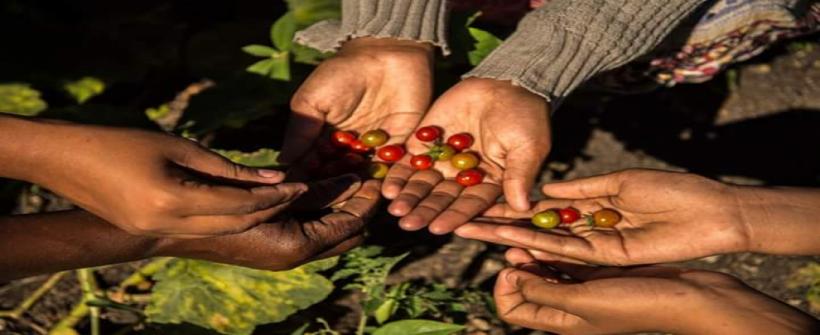 Raizes RJ: I Encontro Estadual de Saberes Populares e Tradicionais de Saúde abre inscrições