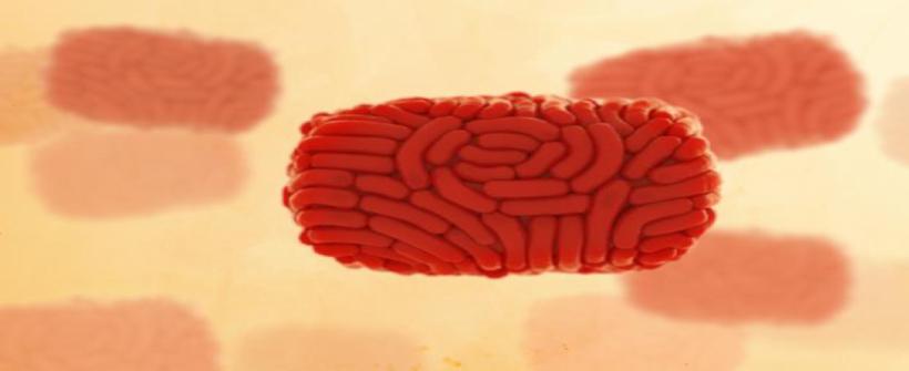  Rio de Janeiro registra terceiro óbito por Monkeypox