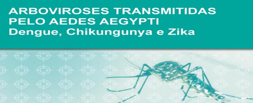  SES e UERJ promovem web conferências sobre dengue, zika e chikungunya