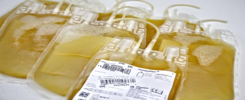 SES inicia estudos para uso de plasma de pacientes curados no tratamento de infectados por coronavírus no Hemorio