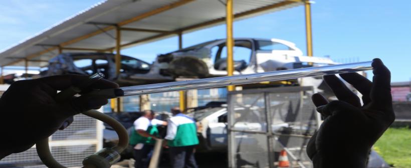 Secretaria de Estado de Saúde captura mosquitos para identificar sorotipos de dengue em circulação no Rio de Janeiro