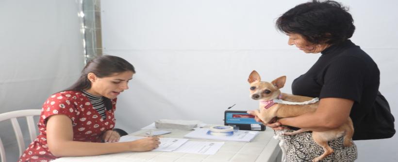 Secretaria de Estado de Saúde do Rio leva Castramóvel para Grande Tijuca, Rocinha, Niterói e Magé