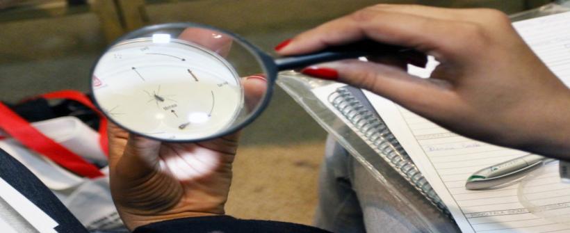 Secretaria de Estado de Saúde lança Plano de Contingência para Enfrentamento às Arboviroses