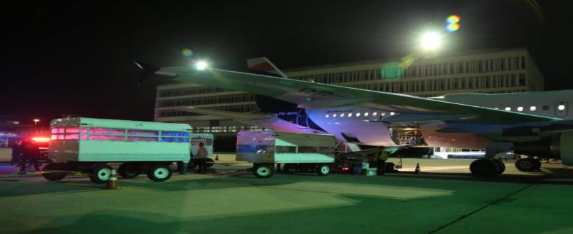 Secretaria de Saúde recebe 46.800 doses da vacina Pfizer contra Covid-19