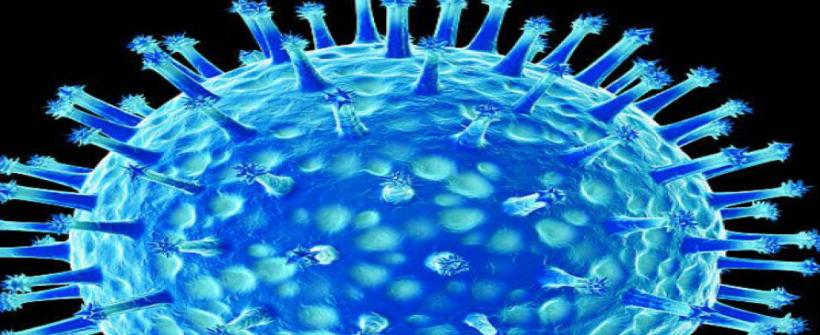 Secretarias de Estado de Saúde e Agricultura do RJ emitem nota técnica sobre gripe aviária