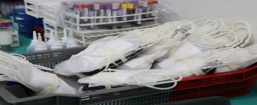 Semana da Saúde encerra sua 11ª edição com recorde de atendimentos