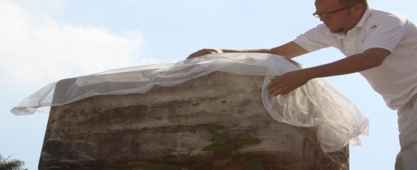 Sinal de alerta para dengue tipo 2 no Rio de Janeiro