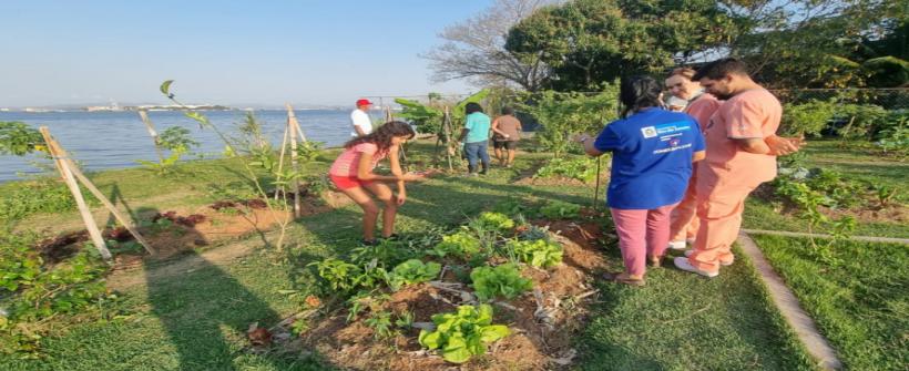 UPA Pediátrica Ilha do Governador organiza horta orgânica