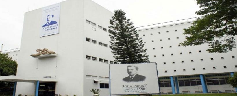 Vital Brazil inicia pesquisas para produzir fitoterápico contra o zika vírus