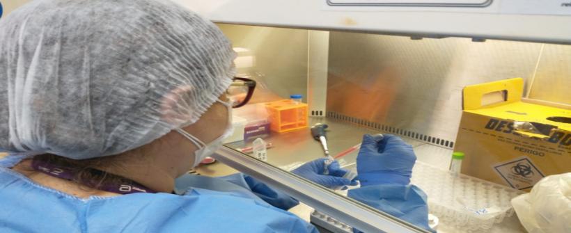 Painel Covid-19 do Governo do Estado ganha uma página exclusiva de mapa de variantes