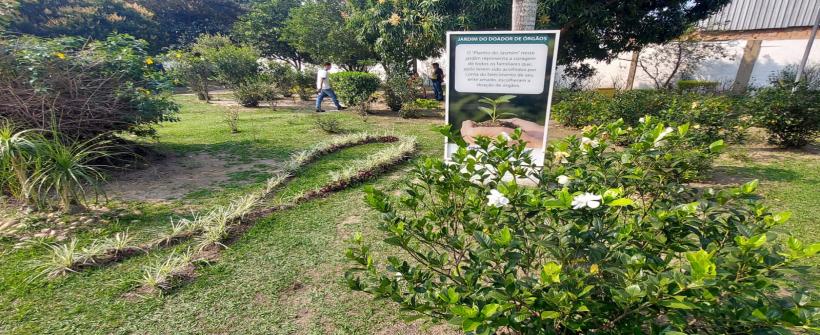 Jardim do Doador de Órgãos do Hospital Alberto Torres ganha exposição fotográfica
