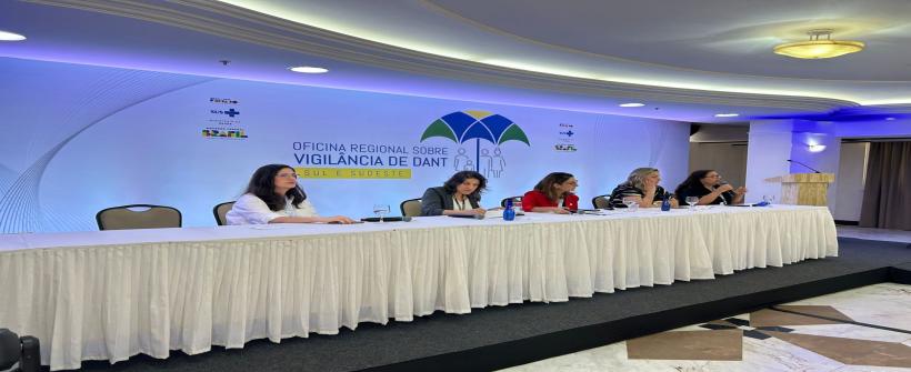 Em Brasília, a coordenadora estadual de Vigilância e Promoção da Saúde do estado apresentou as perspectivas do RJ