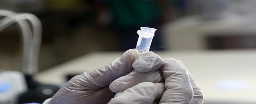 Saúde RJ leva Dia D de combate à Dengue para a Lagoa