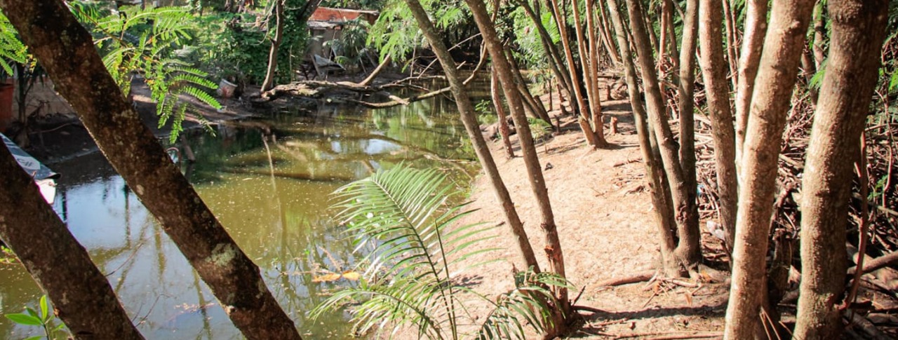Seas cria projeto de apoio às Unidades de Conservação Municipais