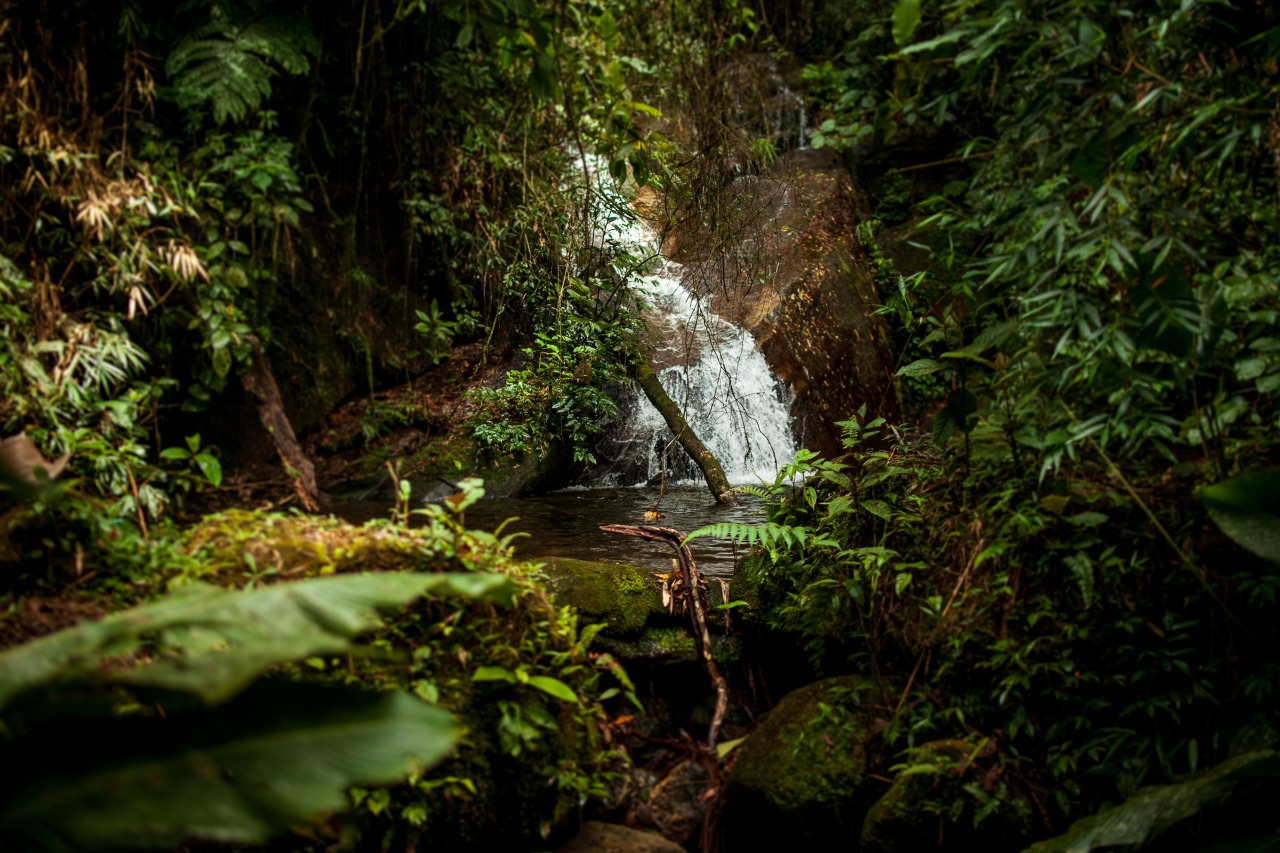 Estado do Rio de Janeiro chega à 100ª Reserva Particular do Patrimônio Natural