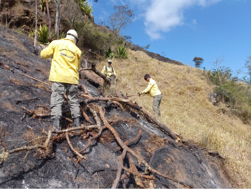 Guarda-parques do Inea e Corpo de Bombeiros combatem incêndio na zona de amortecimento do PESC