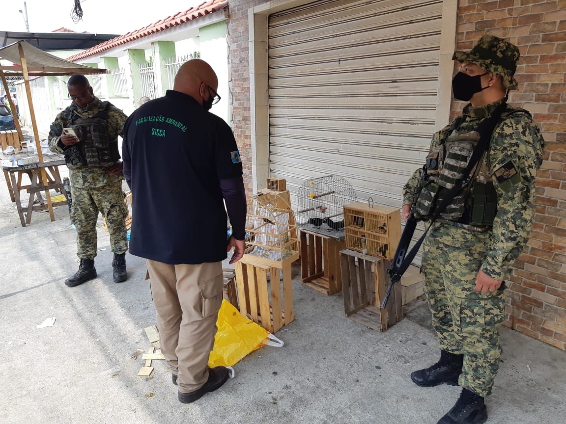 Secretaria do Ambiente e Inea apreendem aves silvestres em operação na Zona Norte do Rio
