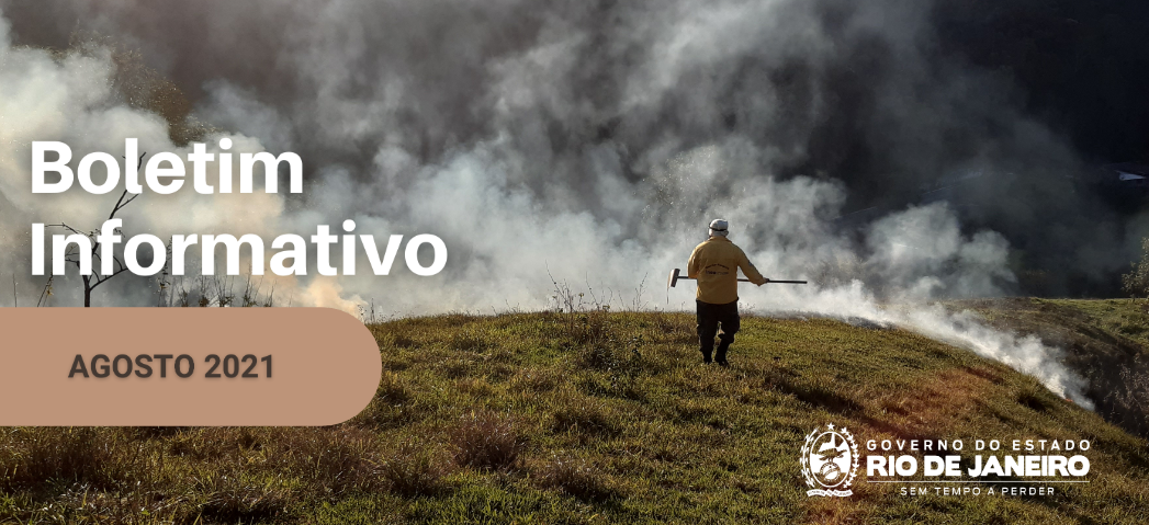 Operação Fumaça Zero divulga Boletim Informativo e Relatório Técnico