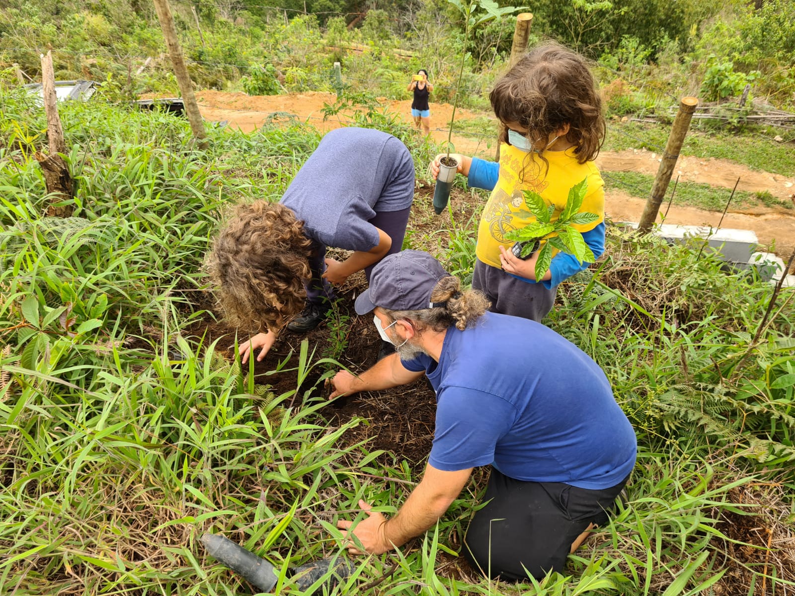 Inea e voluntários plantam mais de 350 mudas em Nova Friburgo