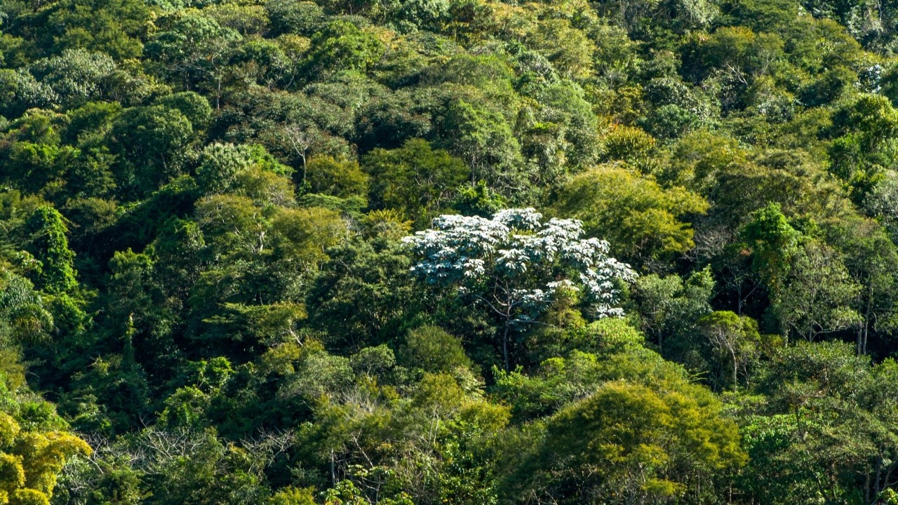 Seas e Inea apoiam projeto e Bom Jesus do Itabapoana inaugura primeiro Parque Natural Municipal