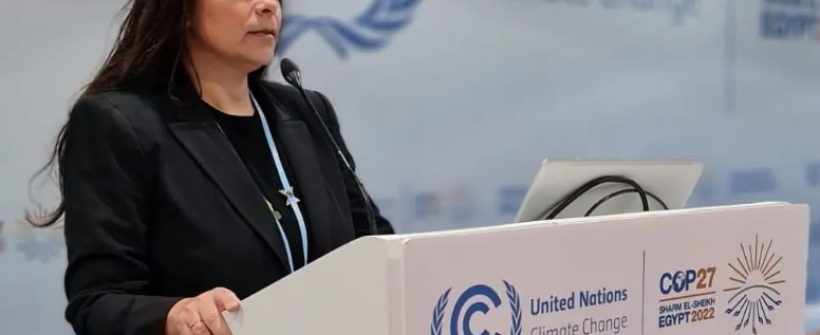 Secretaria de Estado do Ambiente e Sustentabilidade e Inea marcam presença na COP27