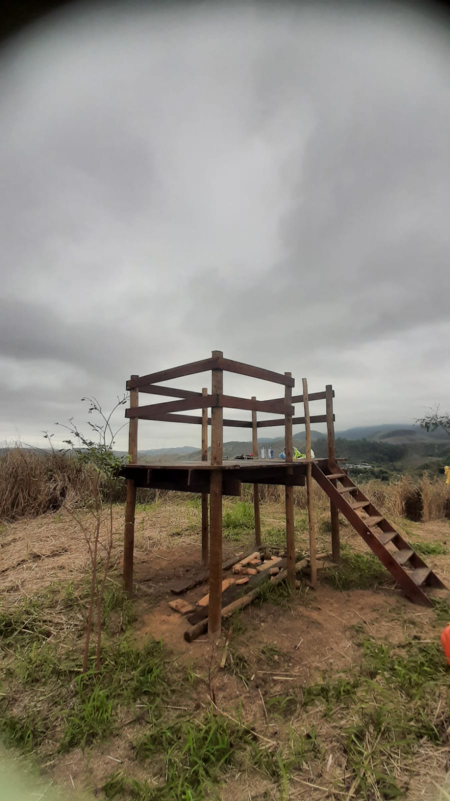 Estrutura