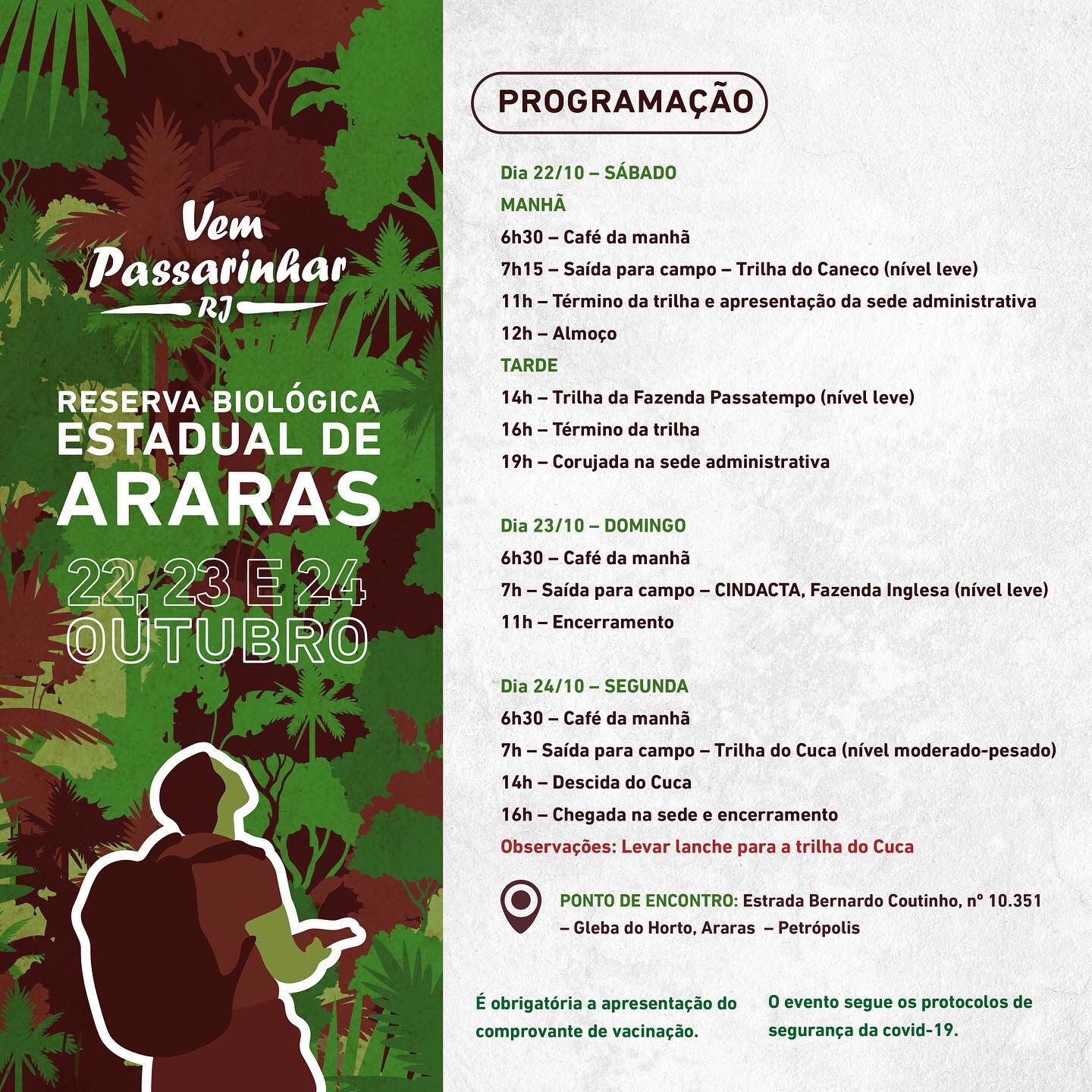 Vem Passarinhar