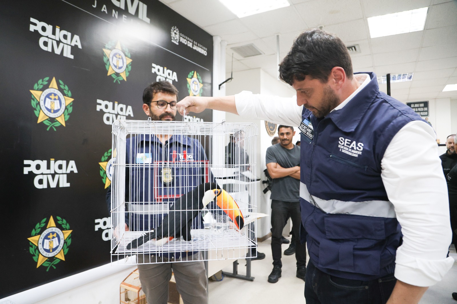 Instituto Estadual do Ambiente atua no resgate de mais de 800 animais silvestres