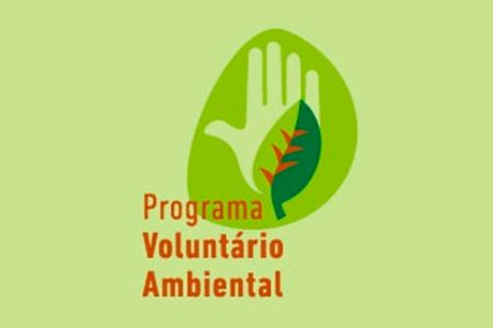 Voluntário