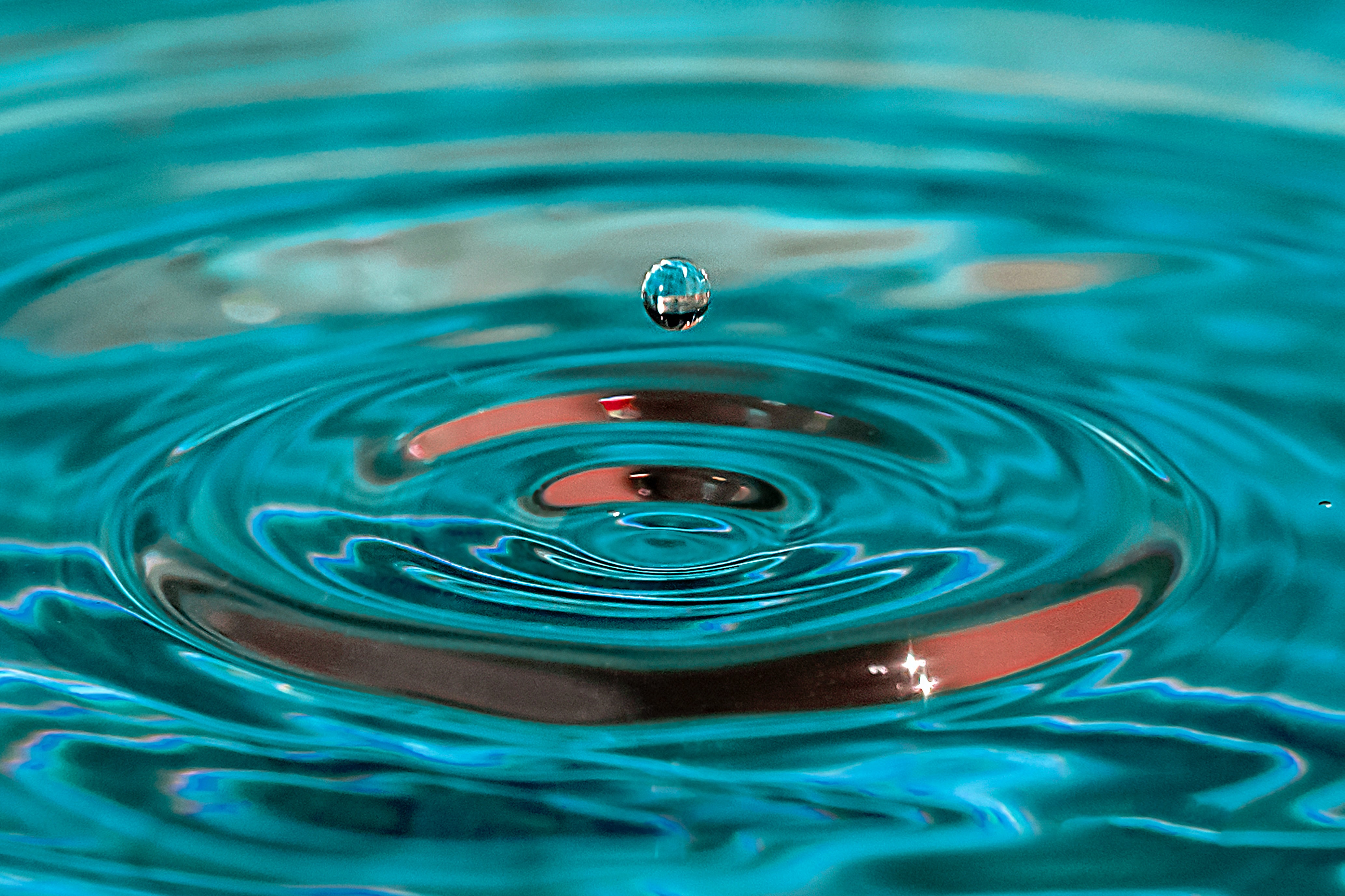 Gota
