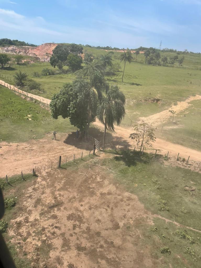 Imagem removida.