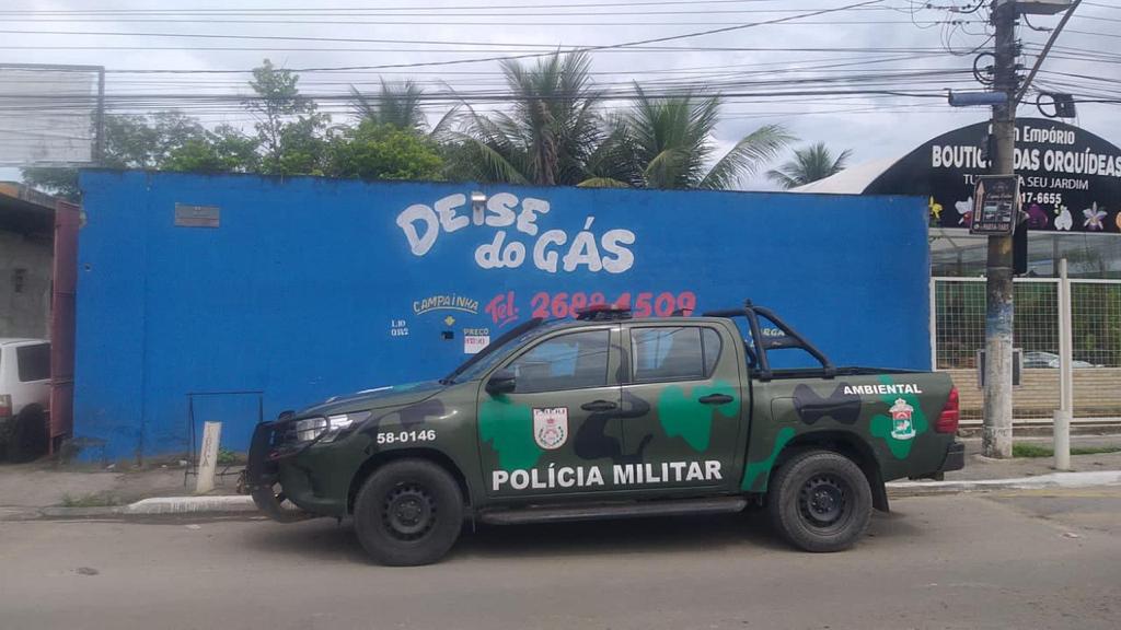 Imagem removida.