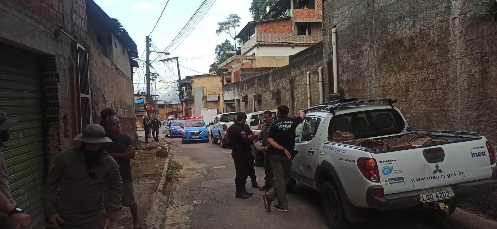 Imagem removida.
