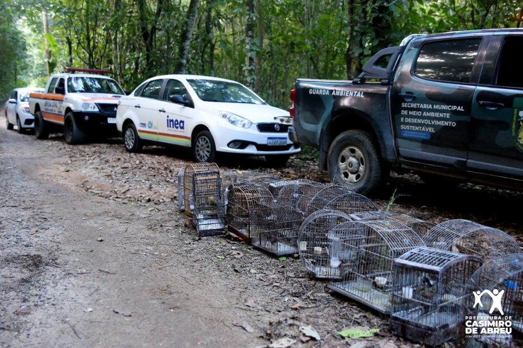 Imagem removida.