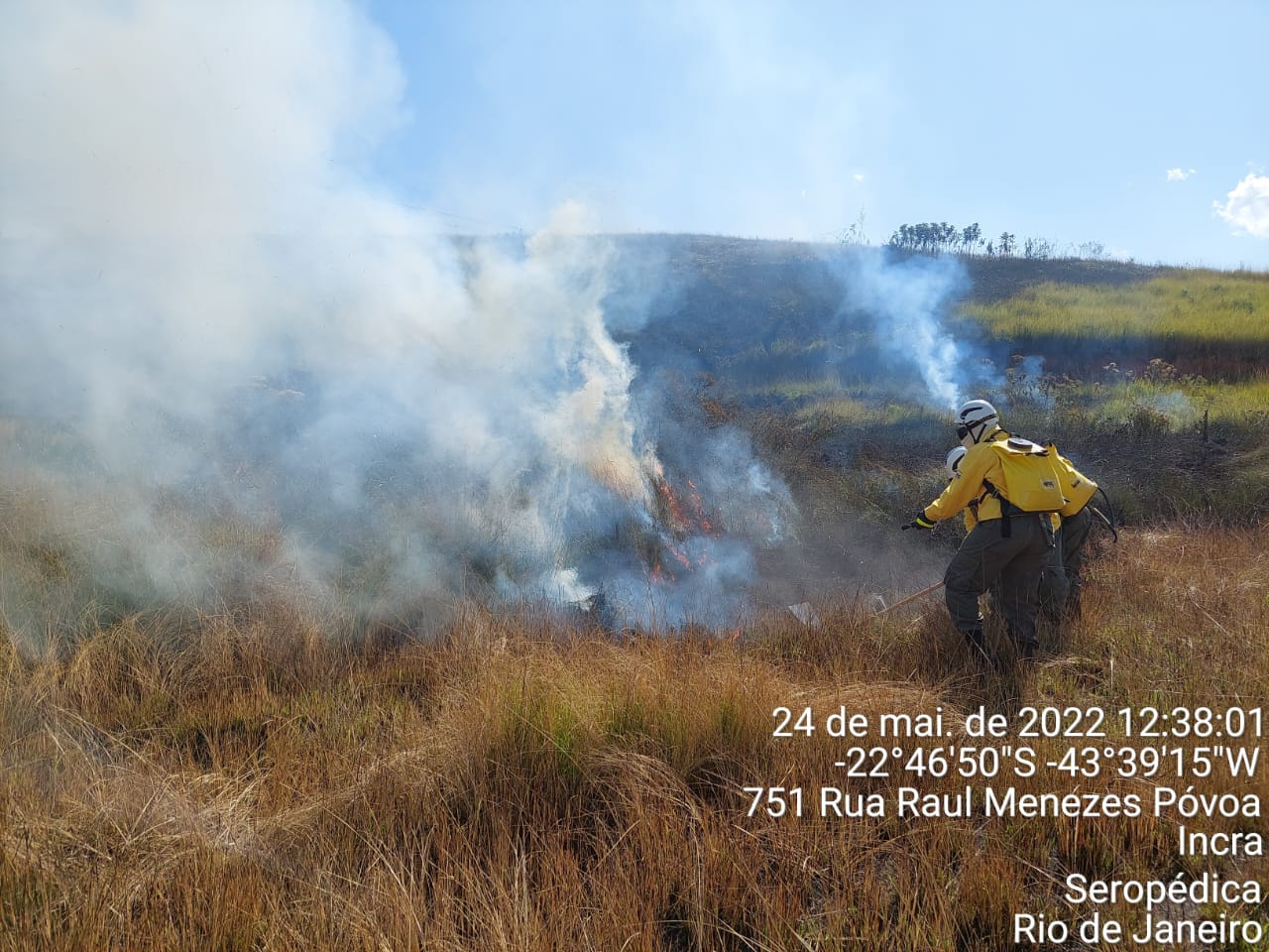 Imagem removida.