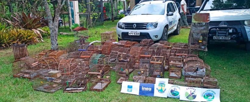 Inea resgata 75 aves silvestres  e apreende apetrechos para caça ilegal em Magé