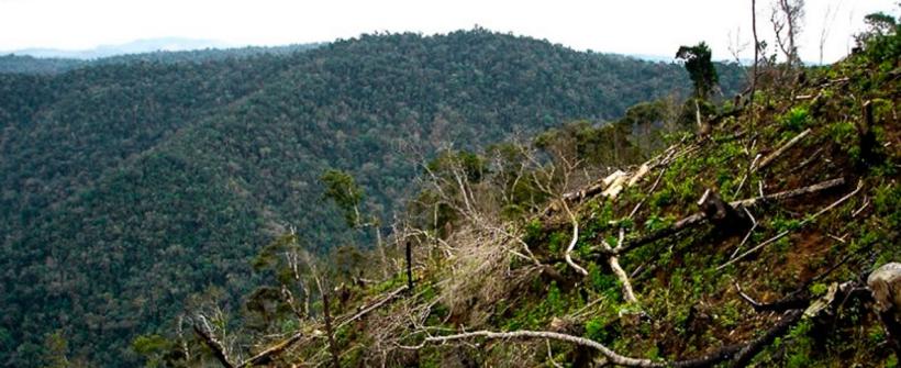 Seas e Inea retomam atividades de monitoramento do Olho no Verde