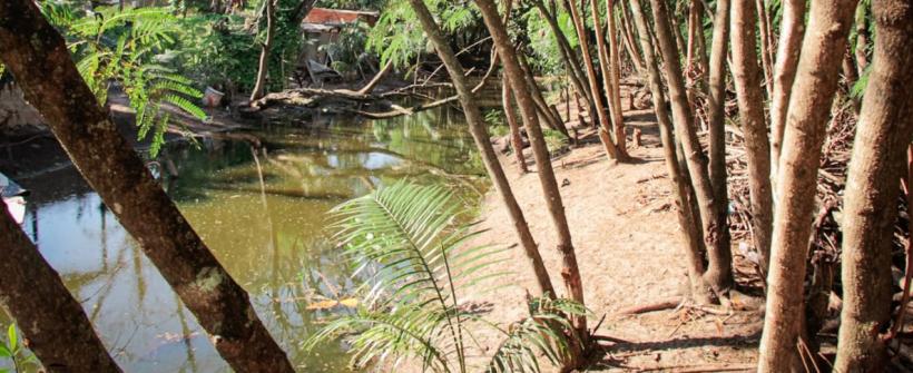 Seas cria projeto de apoio às Unidades de Conservação Municipais