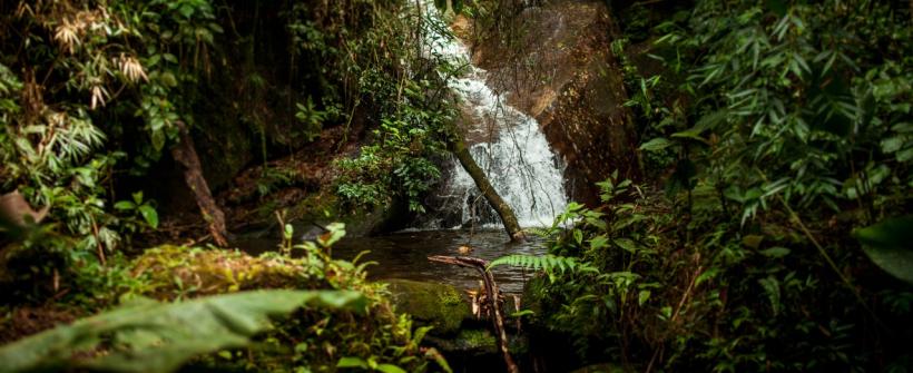 Estado do Rio de Janeiro chega à 100ª Reserva Particular do Patrimônio Natural