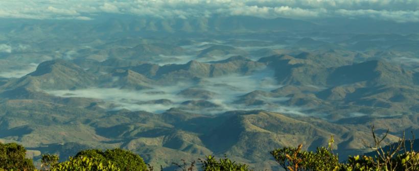 Inea liberta o 500º pássaro resgatado no Parque Estadual do Desengano em 2021