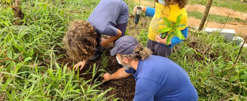 Inea e voluntários plantam mais de 350 mudas em Nova Friburgo