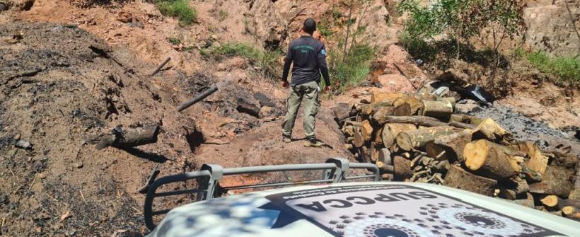  Carvoaria clandestina e frigorífico irregular foram alvo de operação da Seas e do Inea em Sepetiba