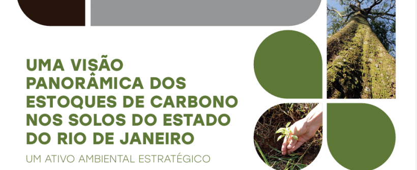 UMA VISÃO PANORÂMICA DOS ESTOQUES DE CARBONO NOS SOLOS DO ESTADO DO RIO DE JANEIRO