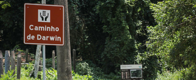 Há 191 anos, Charles Darwin explorava o Parque Estadual da Serra da Tiririca