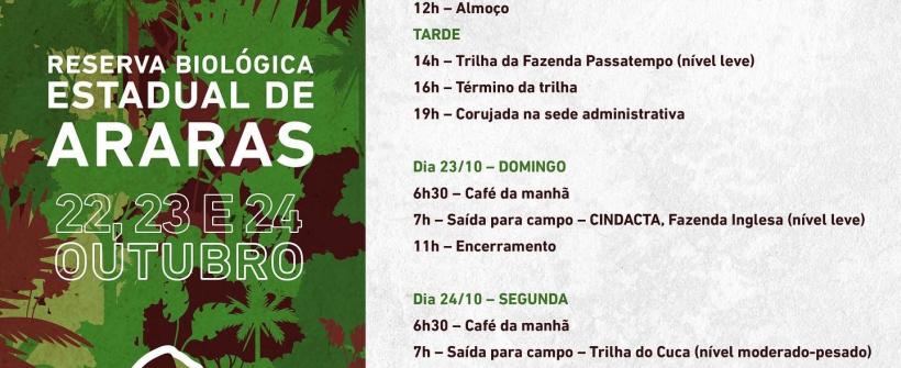 Vem Passarinhar