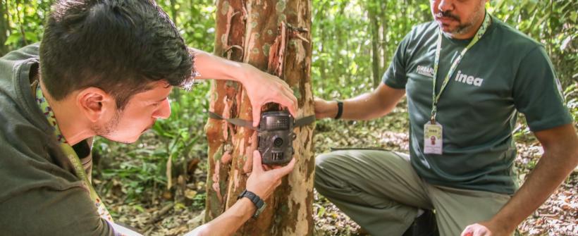 Governo do RJ entrega 480 câmeras para monitoramento de fauna silvestre no RJ
