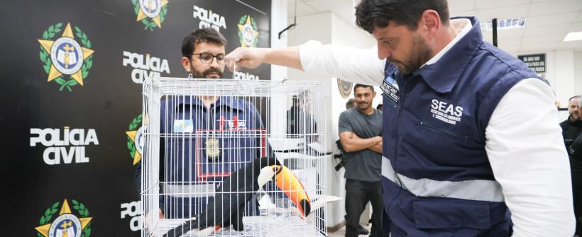 Instituto Estadual do Ambiente atua no resgate de mais de 800 animais silvestres