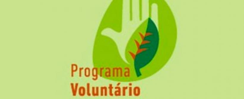 Voluntário