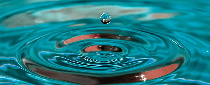 Gota
